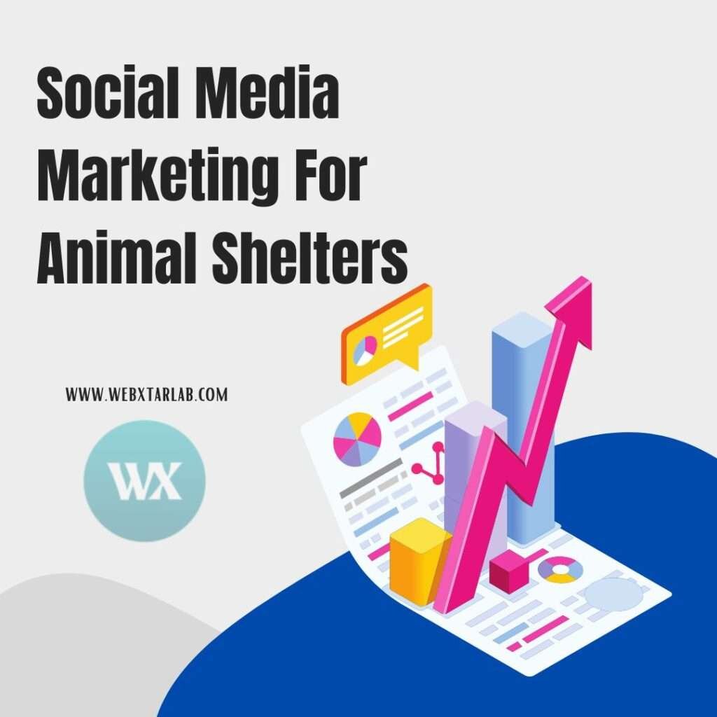 Social Media Marketing For Animal Shelters