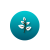 Social-Media-Marketing-Icon2 Social-Media-Marketing-Icon2